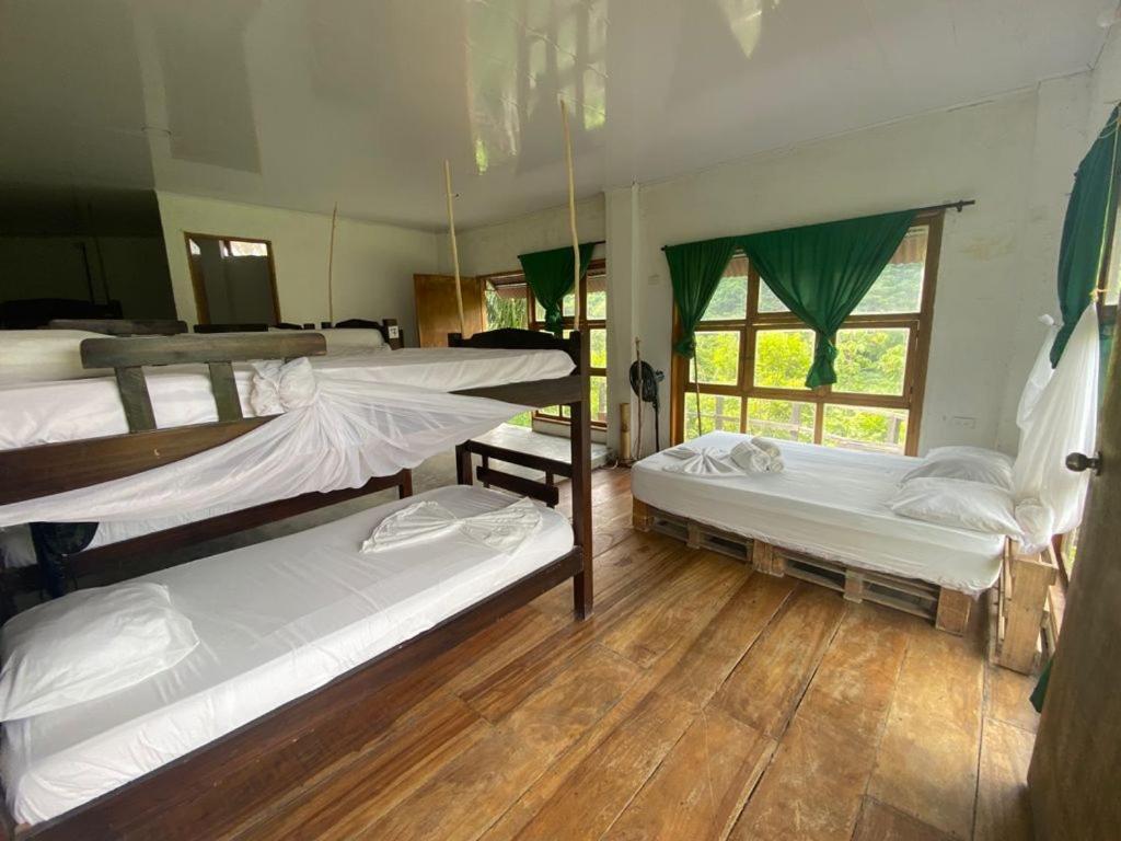 Hostal Mama Tayrona Calabazo  Eksteriør billede