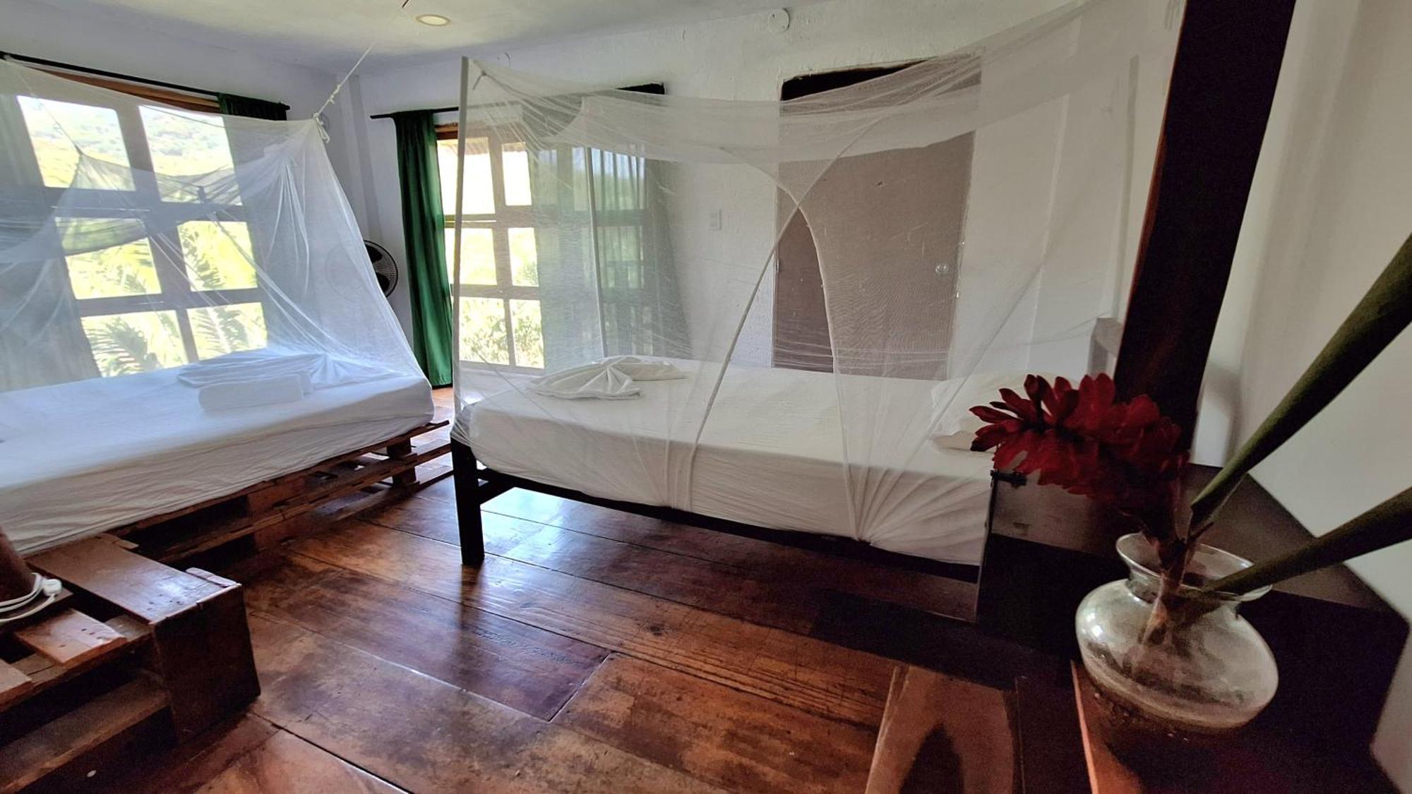 Hostal Mama Tayrona Calabazo  Eksteriør billede