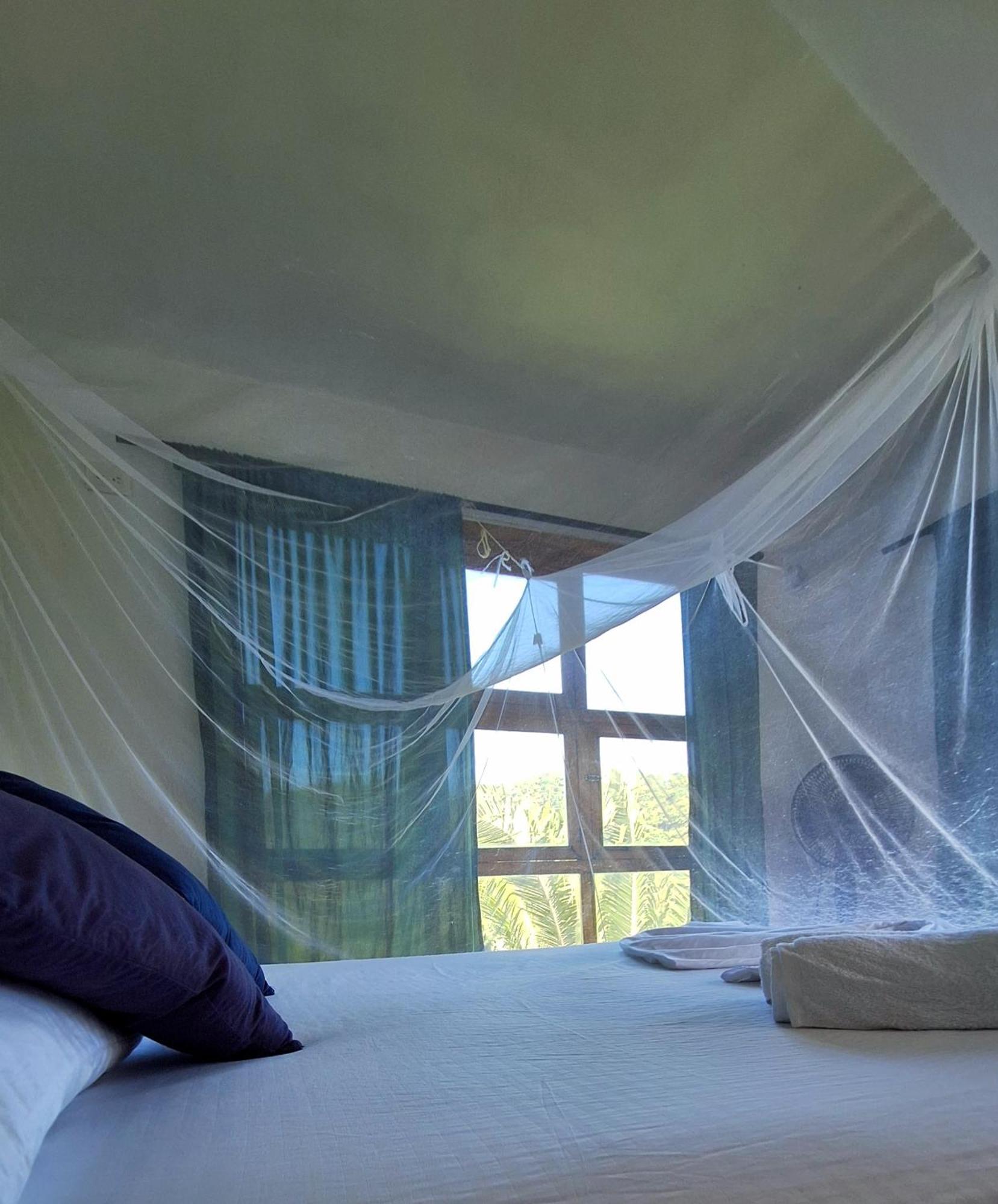 Hostal Mama Tayrona Calabazo  Eksteriør billede