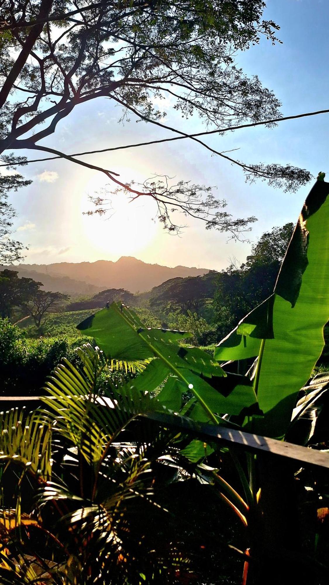 Hostal Mama Tayrona Calabazo  Eksteriør billede