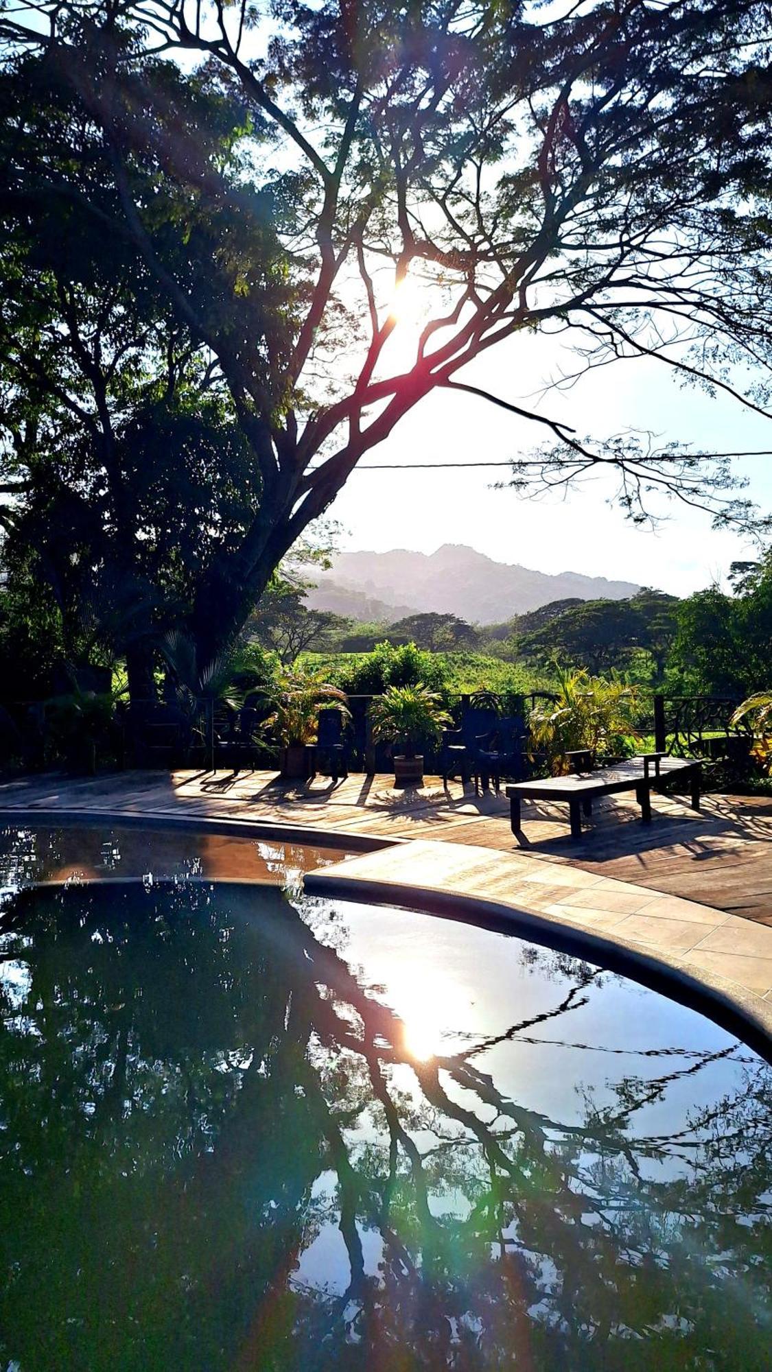 Hostal Mama Tayrona Calabazo  Eksteriør billede