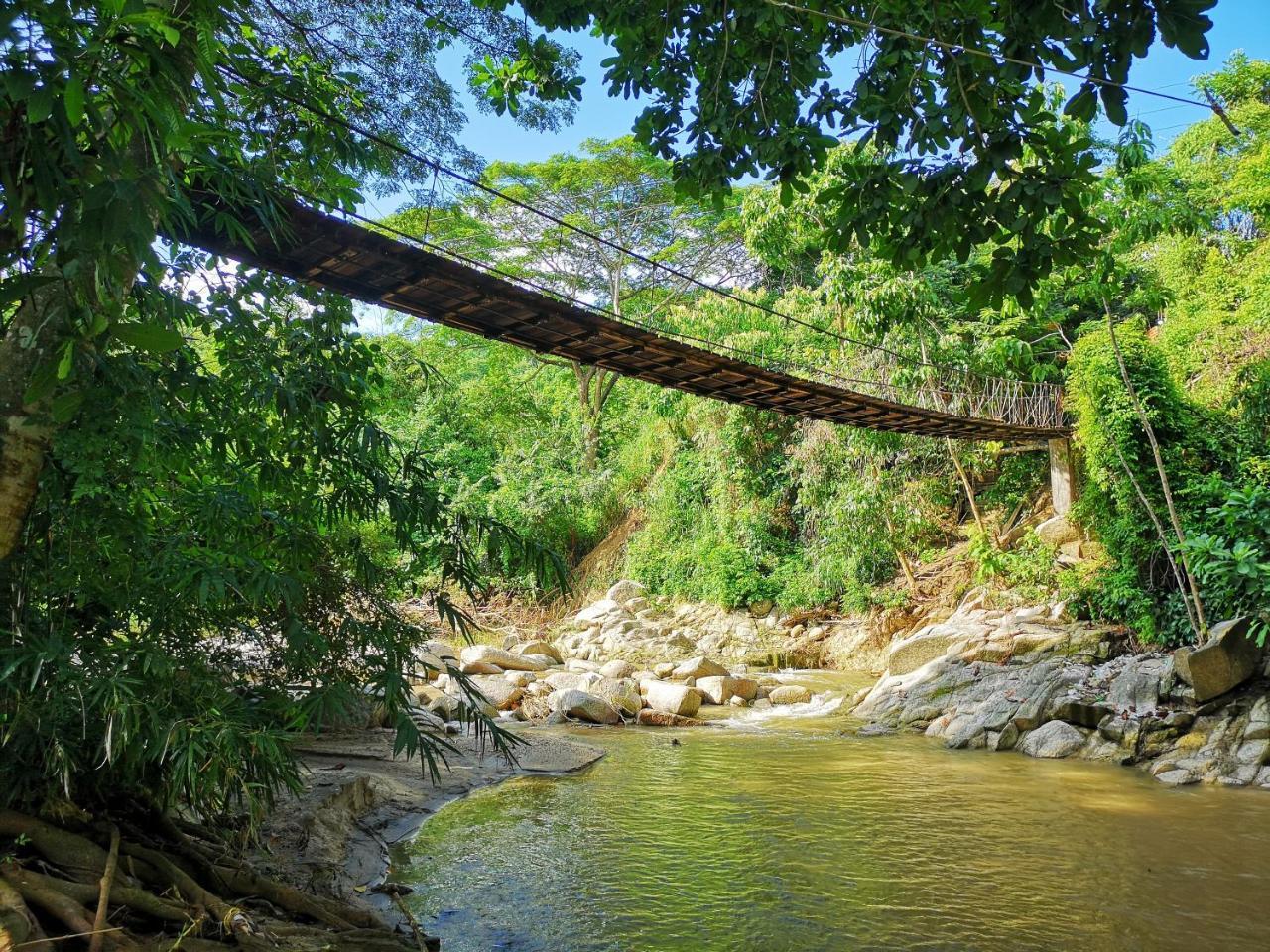 Hostal Mama Tayrona Calabazo  Eksteriør billede