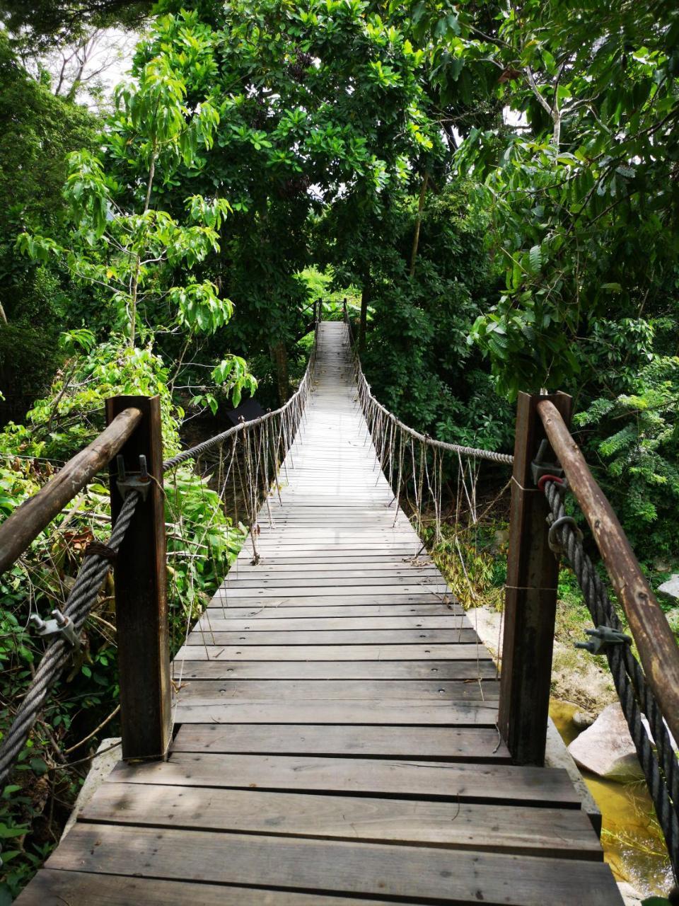 Hostal Mama Tayrona Calabazo  Eksteriør billede