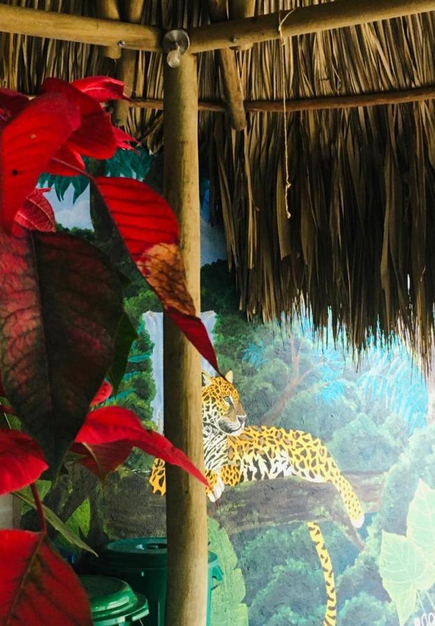 Hostal Mama Tayrona Calabazo  Eksteriør billede